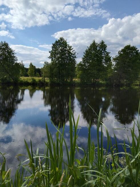 Nieruchomość Ziemia Rolna Sprzedam gmina Kodeń 3,26 h