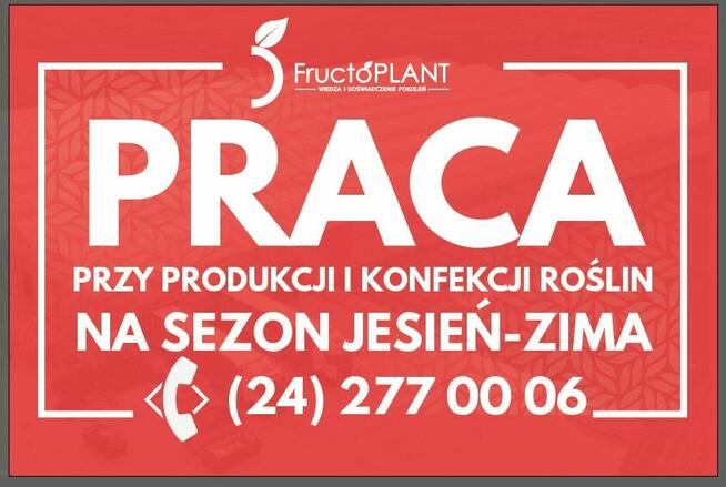 Praca na produkcji w Gąbinie k/ Płocka