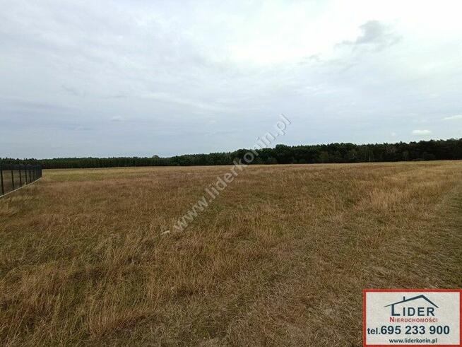 Sprzedam działki budowlane przy lesie w gm. Kazimierz Biskup