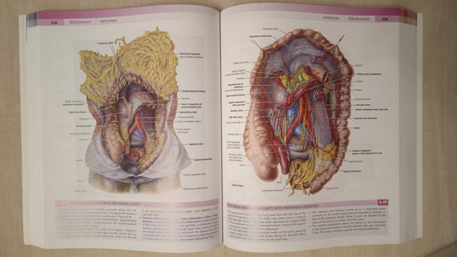 Grants Atlas of Anatomy Agur/Dalley