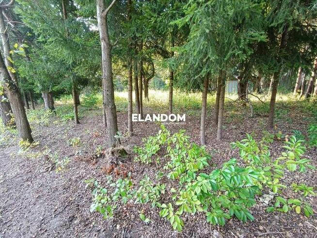 Działka rolno budowlana, Lipowo, WZ wyrabiane