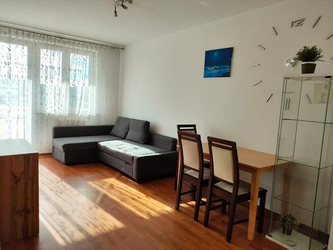 2 pokoje, przyjazne dla zwierząt, Okulickiego 51