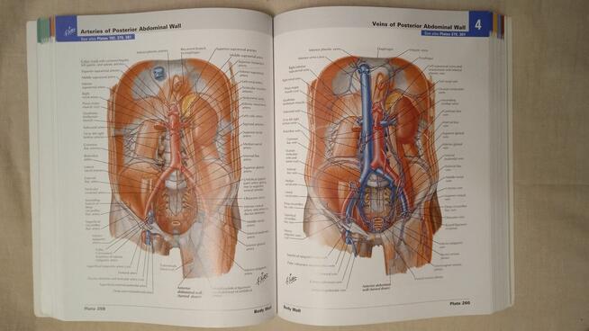 Atlas od Human Anatomy Frank Netter