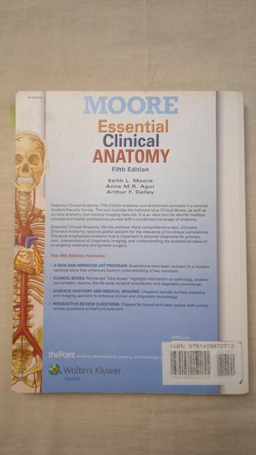 Essential Clinical Anstomy Keith Moore