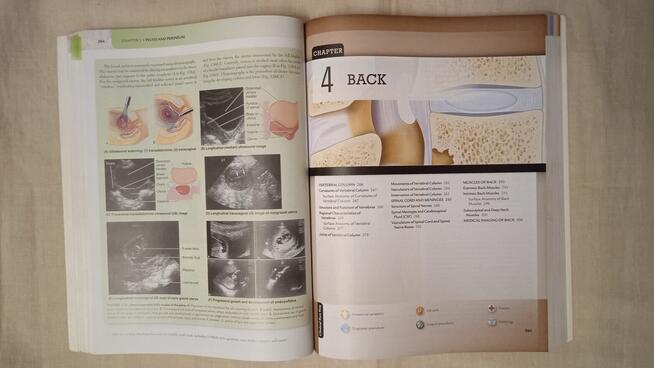 Essential Clinical Anstomy Keith Moore