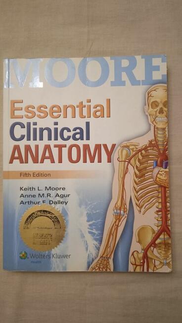 Essential Clinical Anstomy Keith Moore