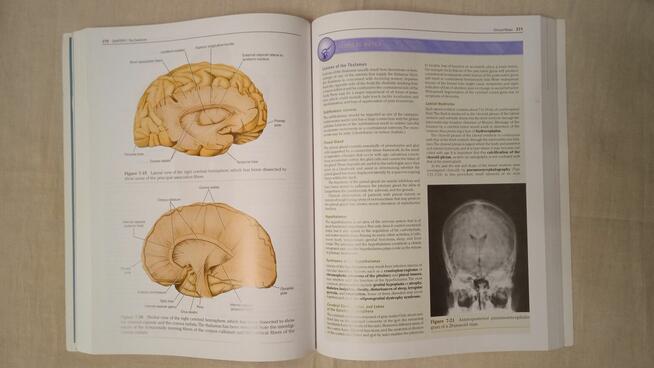 Clinical Neuroanatomy Richard Snell