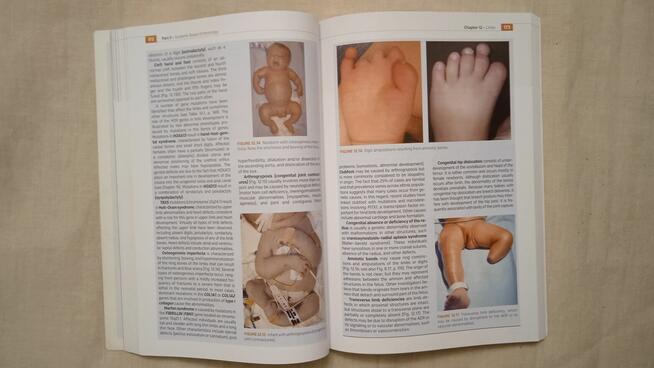 Medical Embryology, Sadler