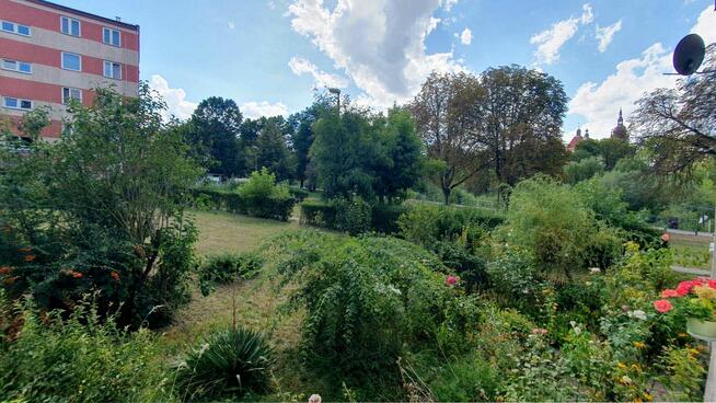 Wynajmę przytulne mieszkanie 45m2 dwupokojowe w sercu Nowego