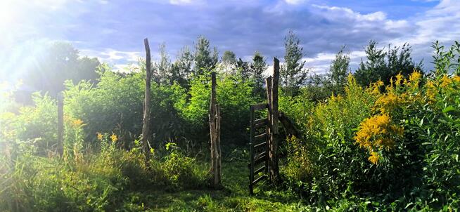 Działka budowlana 400/31 Jaktorów ul. Alpejska Budy Grzybek