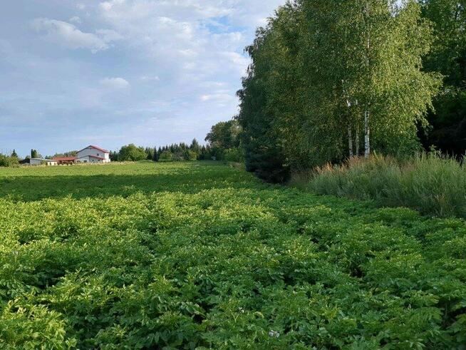 1/6 udziału w nieruchomości zabudowanej - Podkampinos