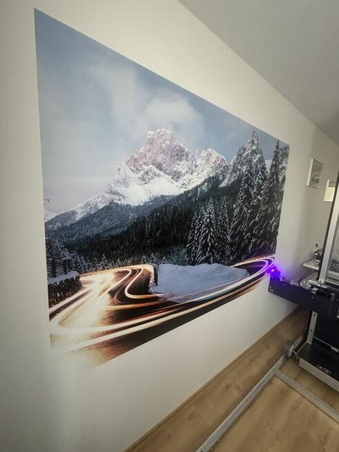 Grafika na ścianę do domu, malowanie ścian Katowice Gliwice