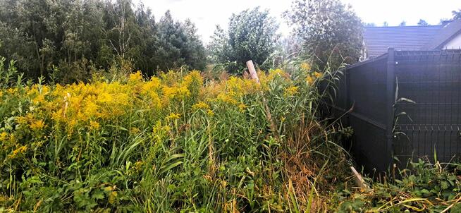 Działka budowlana 400/31 Jaktorów ul. Alpejska Budy Grzybek