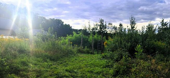 Działka budowlana 400/31 Jaktorów ul. Alpejska Budy Grzybek