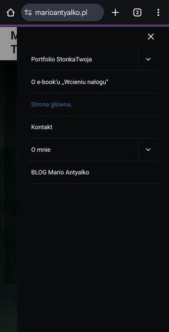 Strony internetowe + Social Media + Grafiki – StronkaTwoja