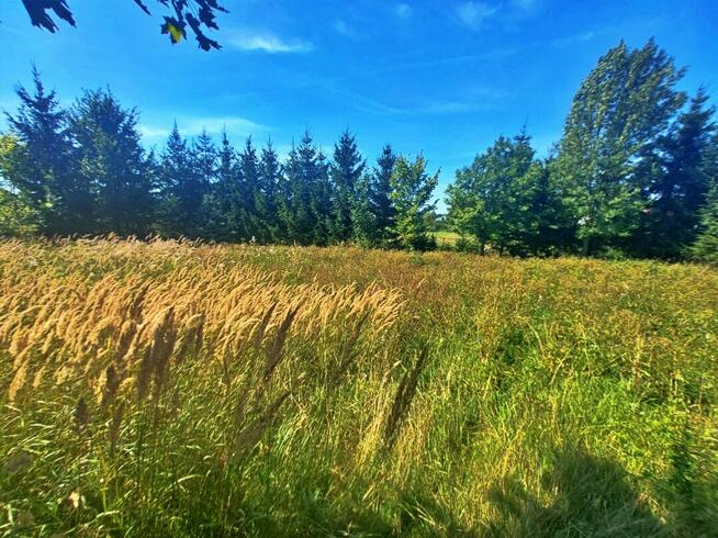 Na sprzedaż wyjątkowa nieruchomość z restauracją i pizzerią