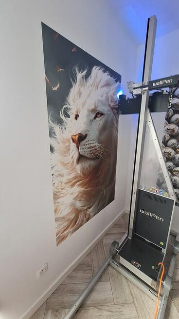 Grafika na ścianę do domu, malowanie ścian Katowice Gliwice