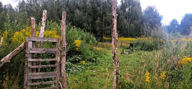Działka budowlana 400/31 Jaktorów ul. Alpejska Budy Grzybek