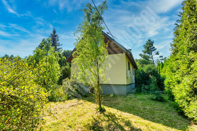 Dom w spokojnej okolicy z dużą działką