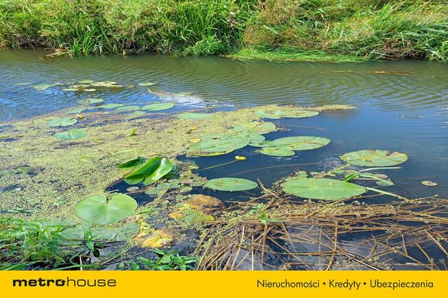 Działka orna z dostępem do rzeki Ostrów / Łowicz