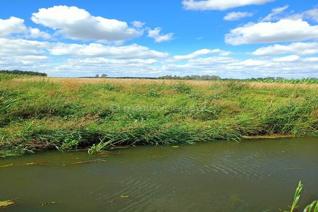 Działka orna z dostępem do rzeki Ostrów / Łowicz