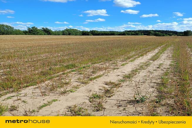 Działka rolna Dąbkowice Dolne/ Łowicza -13 300m2
