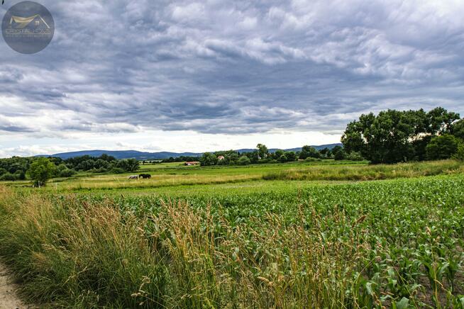 Działka budowlana Grodziszcze gm. Świdnica