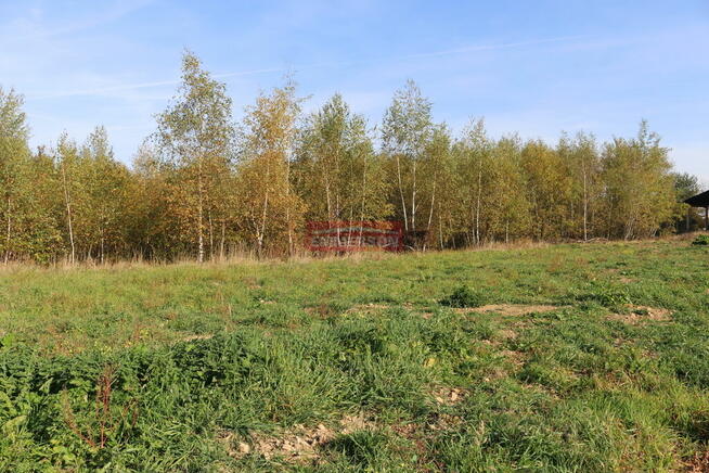 Działka budowlano- rolna 1,5 ha m2 - Biskupice