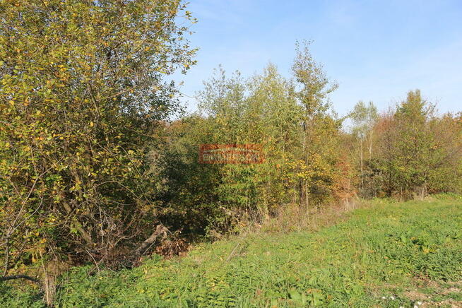 Działka budowlano- rolna 1,5 ha m2 - Biskupice