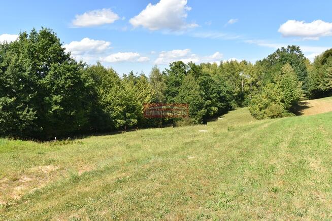 Piękny parterowy dom z dużą działką- gm. Łapanów