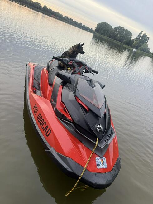 Inna Inny Sea-Doo RXP 300RS – 300 KM SKUTER WODNY zadbany i serwisowany