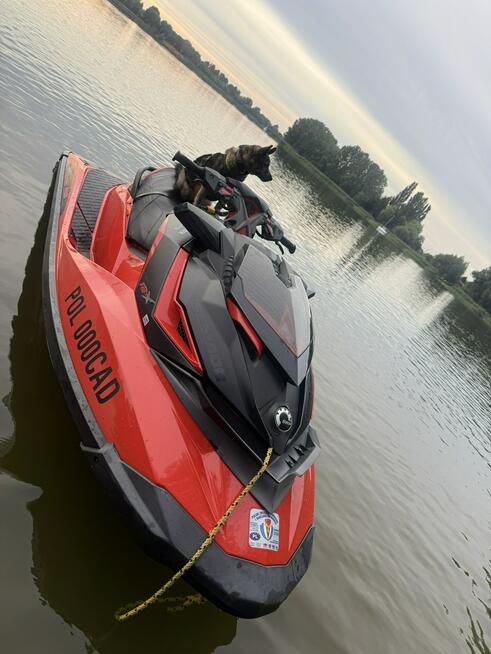 Inna Inny Sea-Doo RXP 300RS – 300 KM SKUTER WODNY zadbany i serwisowany