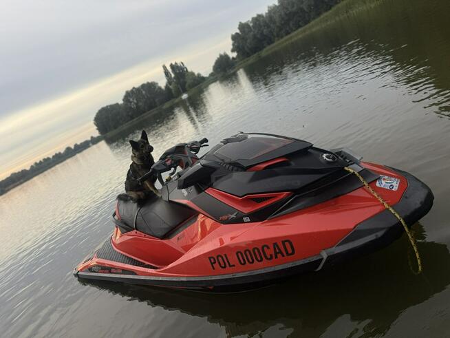 Inna Inny Sea-Doo RXP 300RS – 300 KM SKUTER WODNY zadbany i serwisowany