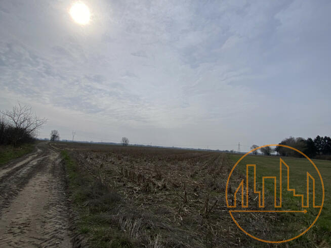 Działka budowlana Wiejca gm. Kampinos,