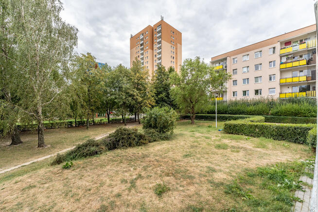 Okazja! Przestronne 40m w zielonej okolicy