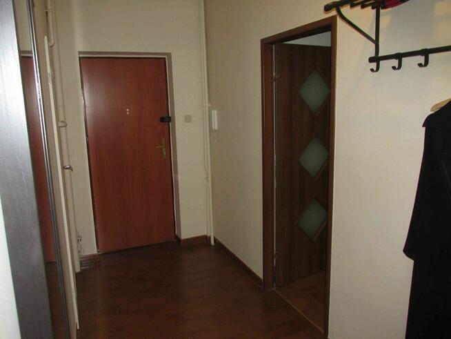 Pokokój w centrum Poznania 18,5m2 wynajmę