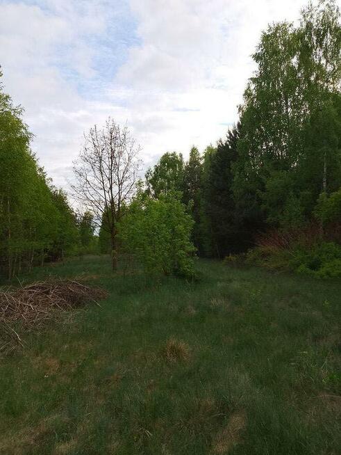 Duży, bardzo ładny teren przy Puszczy Kampinoskiej