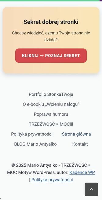 Strony internetowe + Social Media + Grafiki – StronkaTwoja