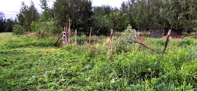 Działka budowlana 400/31 Jaktorów ul. Alpejska Budy Grzybek