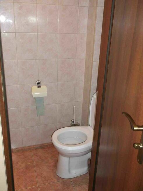 Pokokój w centrum Poznania 18,5m2 wynajmę