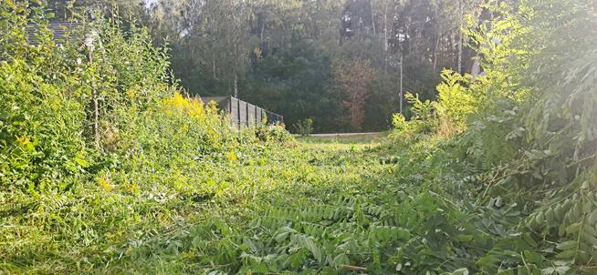 Działka budowlana 400/31 Jaktorów ul. Alpejska Budy Grzybek