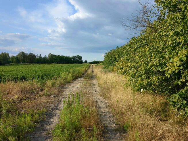 1/6 udziału w nieruchomości zabudowanej - Podkampinos