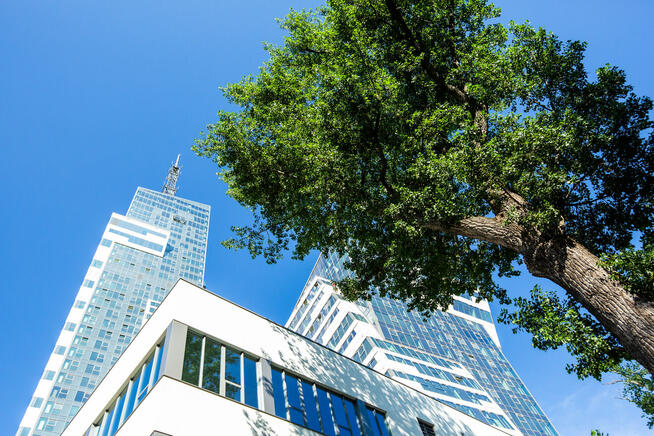 Wirtualne Biuro Rzeszów Szopena 35C - Biznes Hub