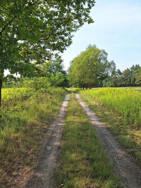 Sprzedam (lub zamienię na m2-3 Opole) dom Lasy Stobrawskie,