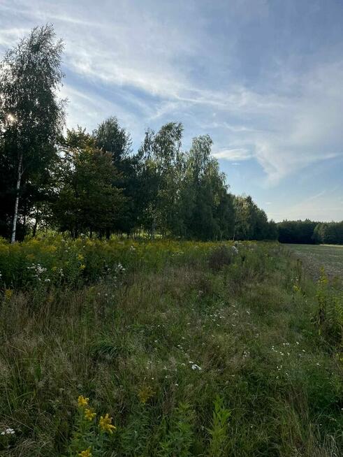 Duża działka z warunkami zabudowy na 5 domów w otulinie lasó