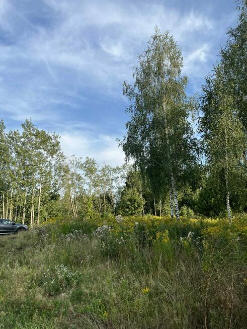 Duża działka z warunkami zabudowy na 5 domów w otulinie lasó