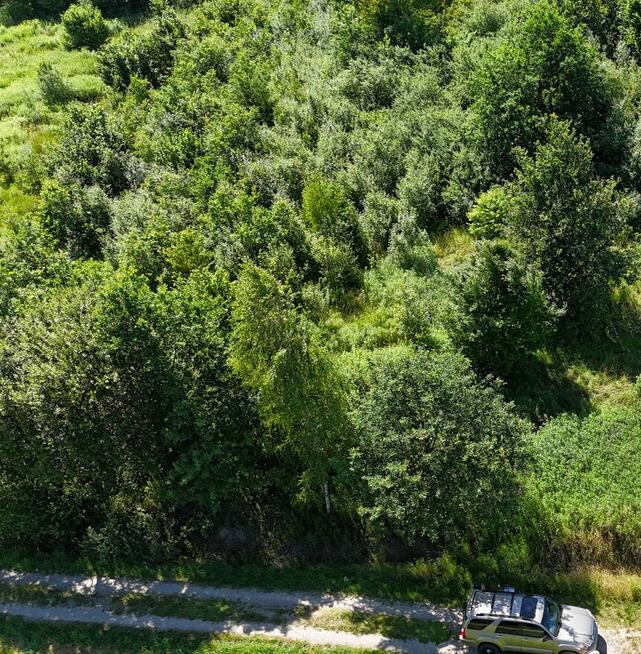 Cztery działki leśne łącznie 68 arów w Zagórze, gm. Jodłowa