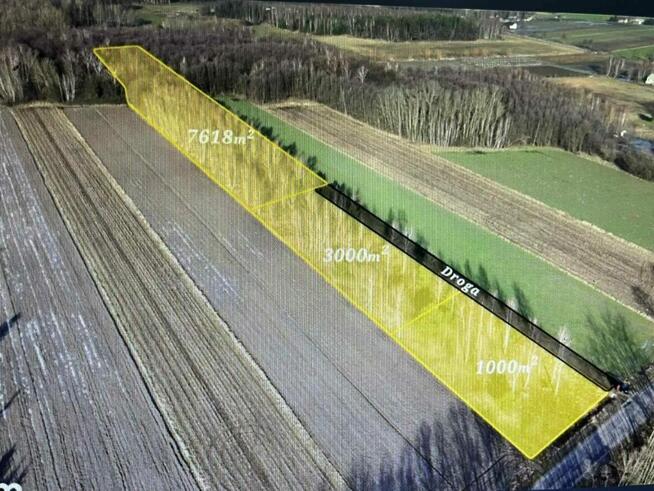 Działki budowlane w otulinie lasów przy drodze asfaltowej