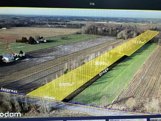 Działki budowlane w otulinie lasów przy drodze asfaltowej