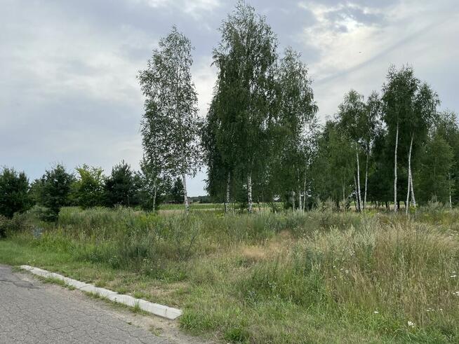 Działki budowlane w otulinie lasów przy drodze asfaltowej